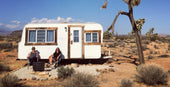 Desert Magic in Joshua Tree